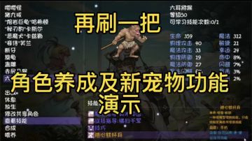 再刷一把 角色养成及新宠物功能演示
