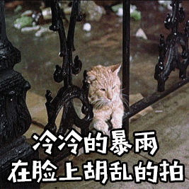 求萌新武器推荐 1