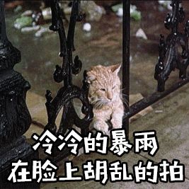 求萌新武器推荐截图