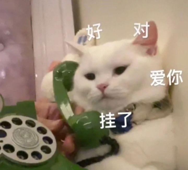 1.4速速上线截图
