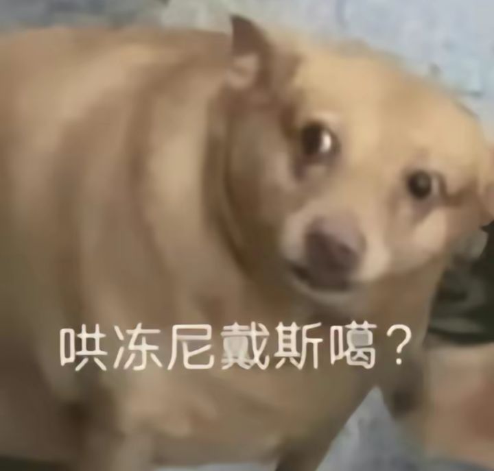 来企鹅找我们一起玩吧宝752480553企鹅裙截图
