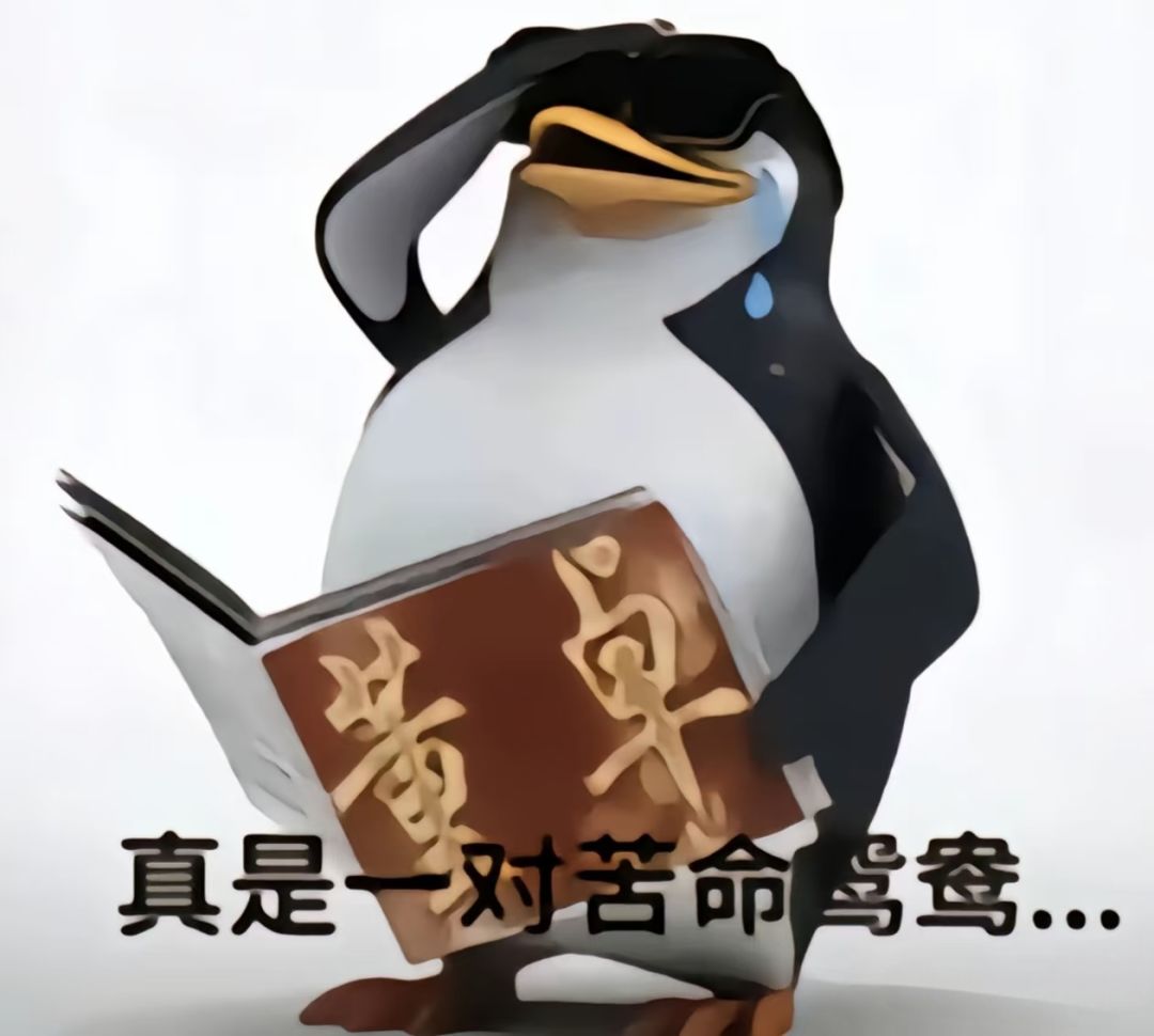 火羽和玩家真是一对苦命鸳鸯啊 1