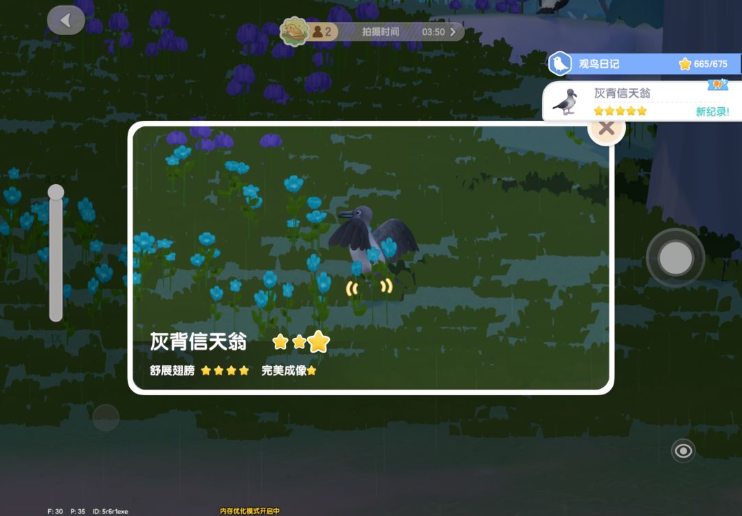 心动小镇寻鲸季限定鸟五星攻略 1