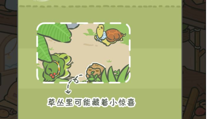 这个这个截图