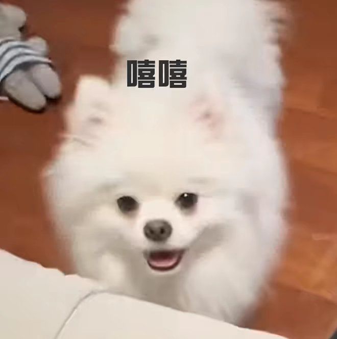 私人记录游戏用 1
