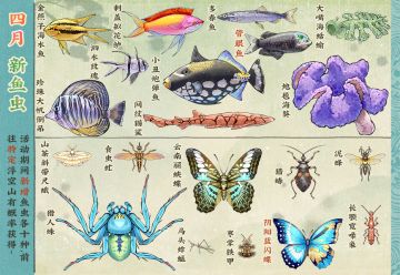 【仙山小农】更新预告·四月新鱼虫