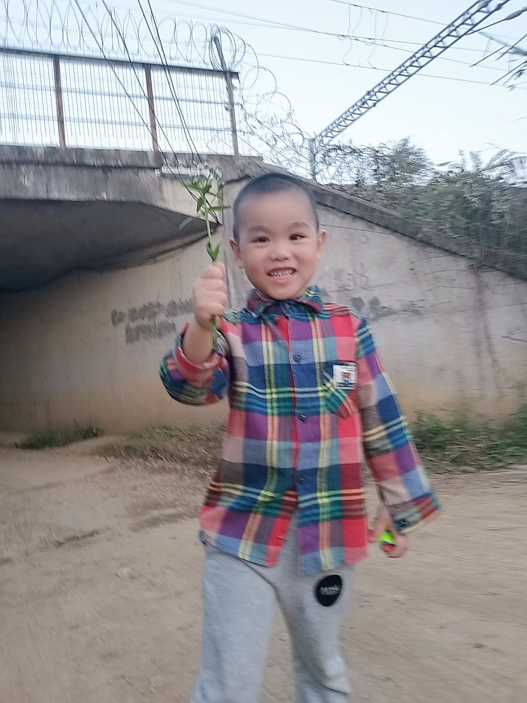 动态图片 1