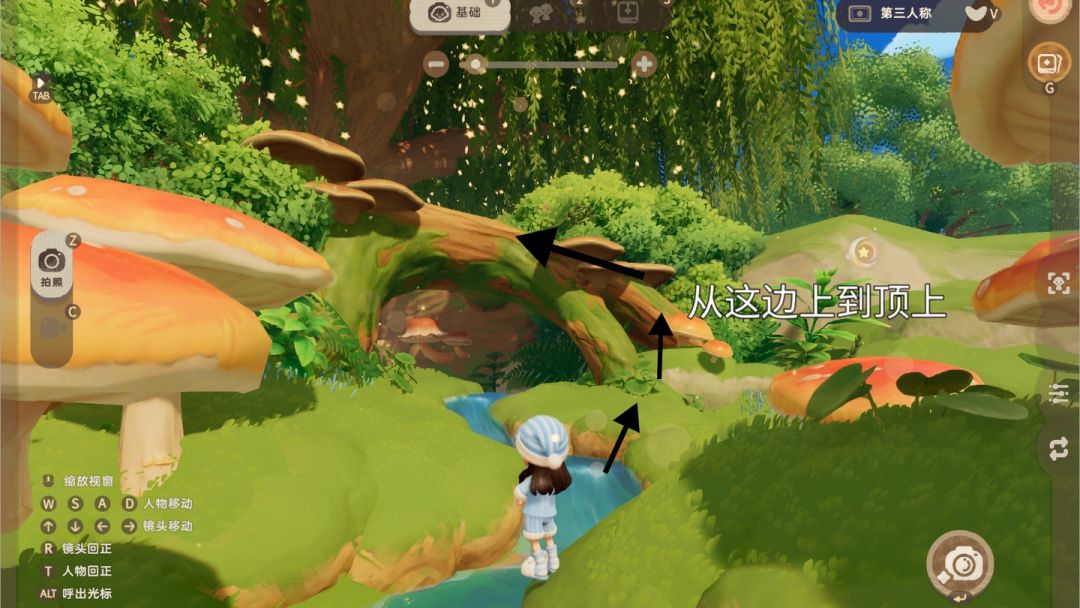 星花树|打卡点位分享 6