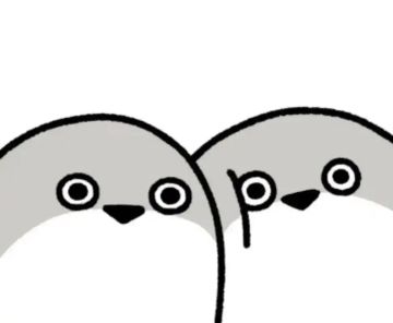 泰拉瑞亚，甲鱼小故事