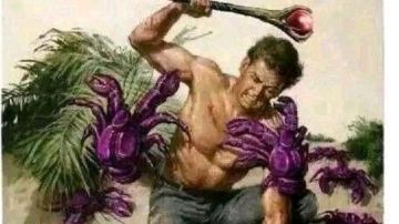 四艺通用攻略——老长安儿街坊儿里有关四艺儿那些事儿～