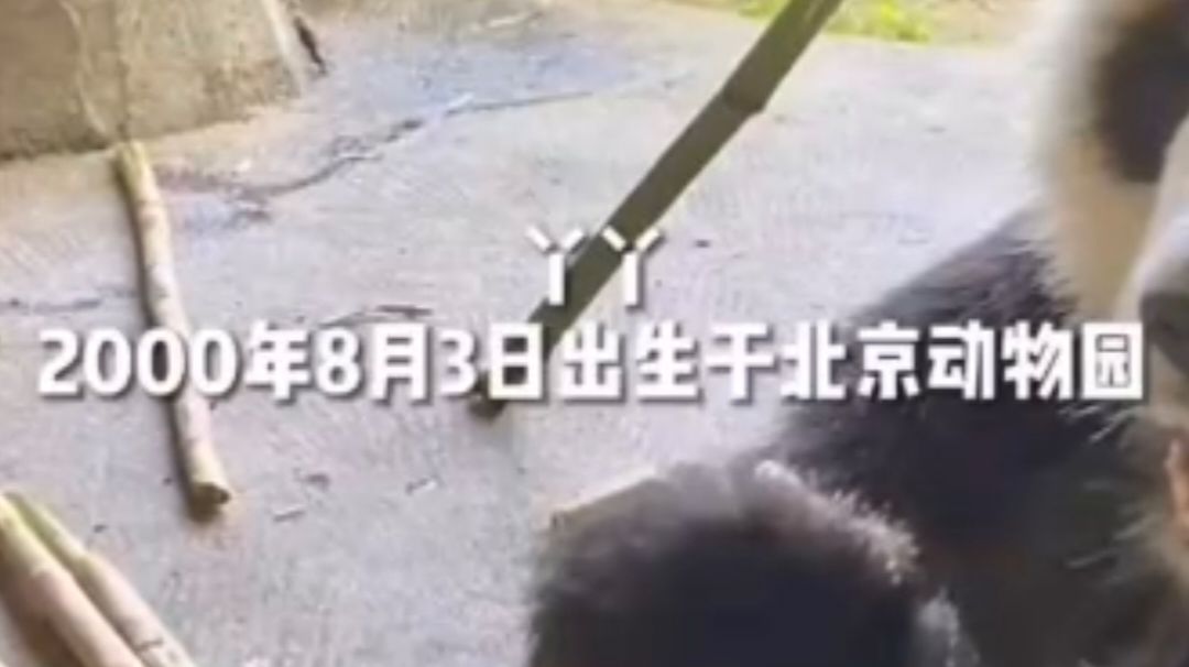 《丫丫回家》豆瓣评分3.2截图