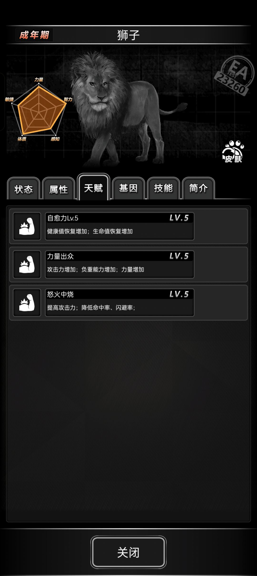 5级辛巴到手 2
