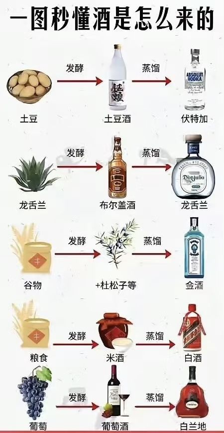 酒科普! 1