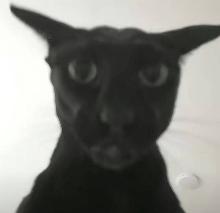 你这活动我看着是真头大 不知道是我年纪大了 还是我笨哈 真看不懂 找半天战斗关卡找不到 奖励也找不到截图