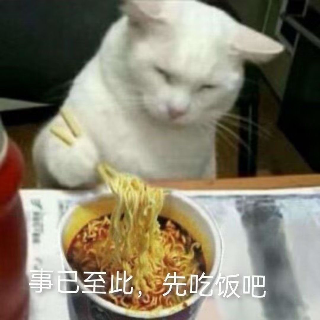 新区写码带你一起玩呀 1