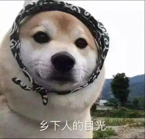 朴实无华➕13 2