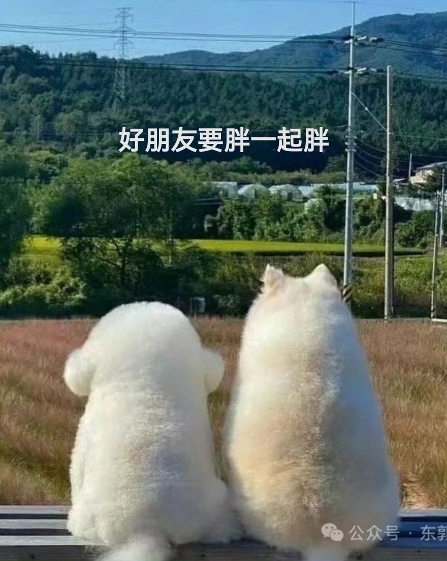 入坑一周萌新求教 1