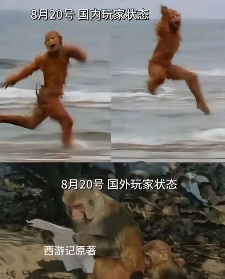 黑神话悟空梗图一览 2