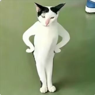试炼分数 1