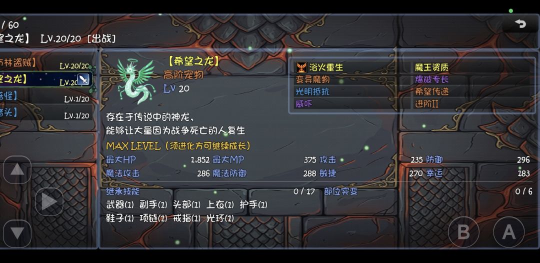 这个希望之龙咋样 1