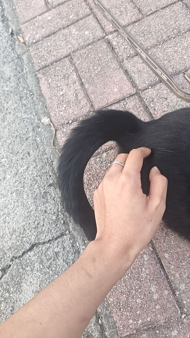 萌新提问,装备找回截图