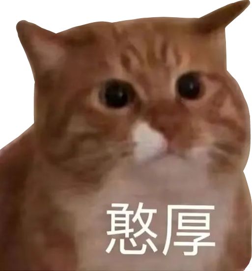 你们怎么知道我大将了 4