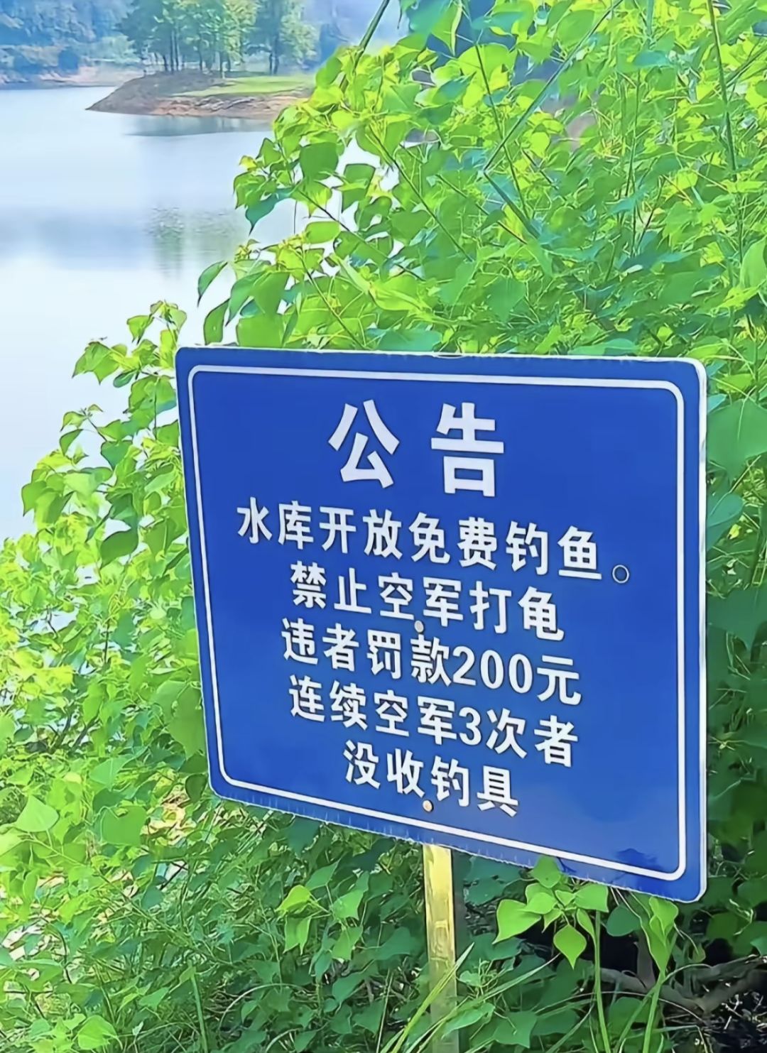 见了3次。。。我的愿力啊 2