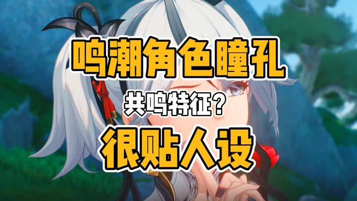 鸣潮角色瞳孔很符合人设截图