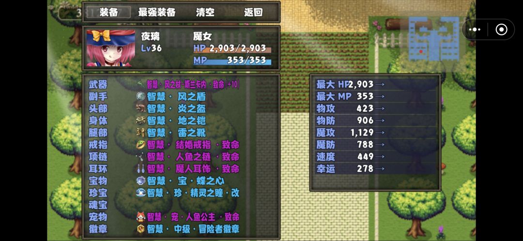 宠物伤害 2
