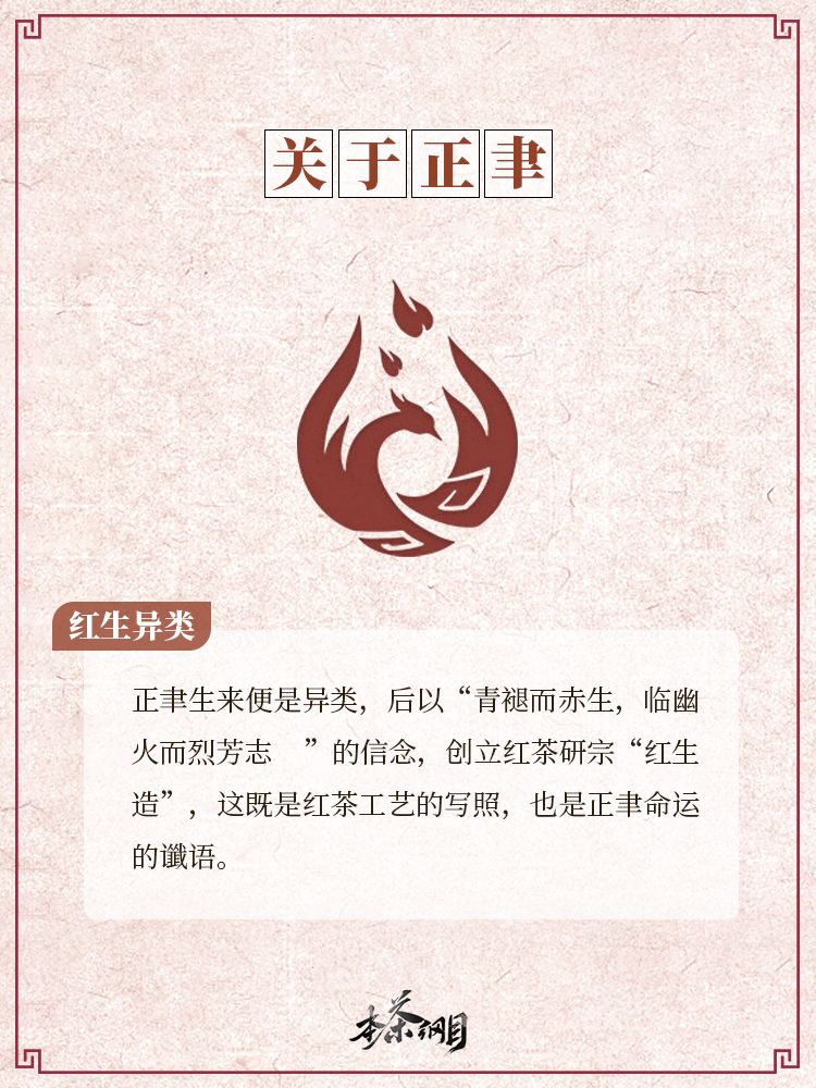 《本茶纲目》茶元先导手记·正聿 3