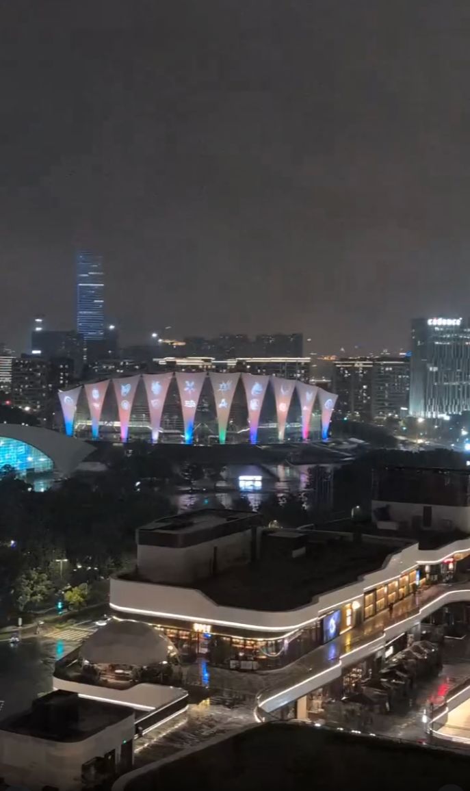国外解说分享2026刀塔DOTA2国际邀请赛Ti15主场馆夜景截图