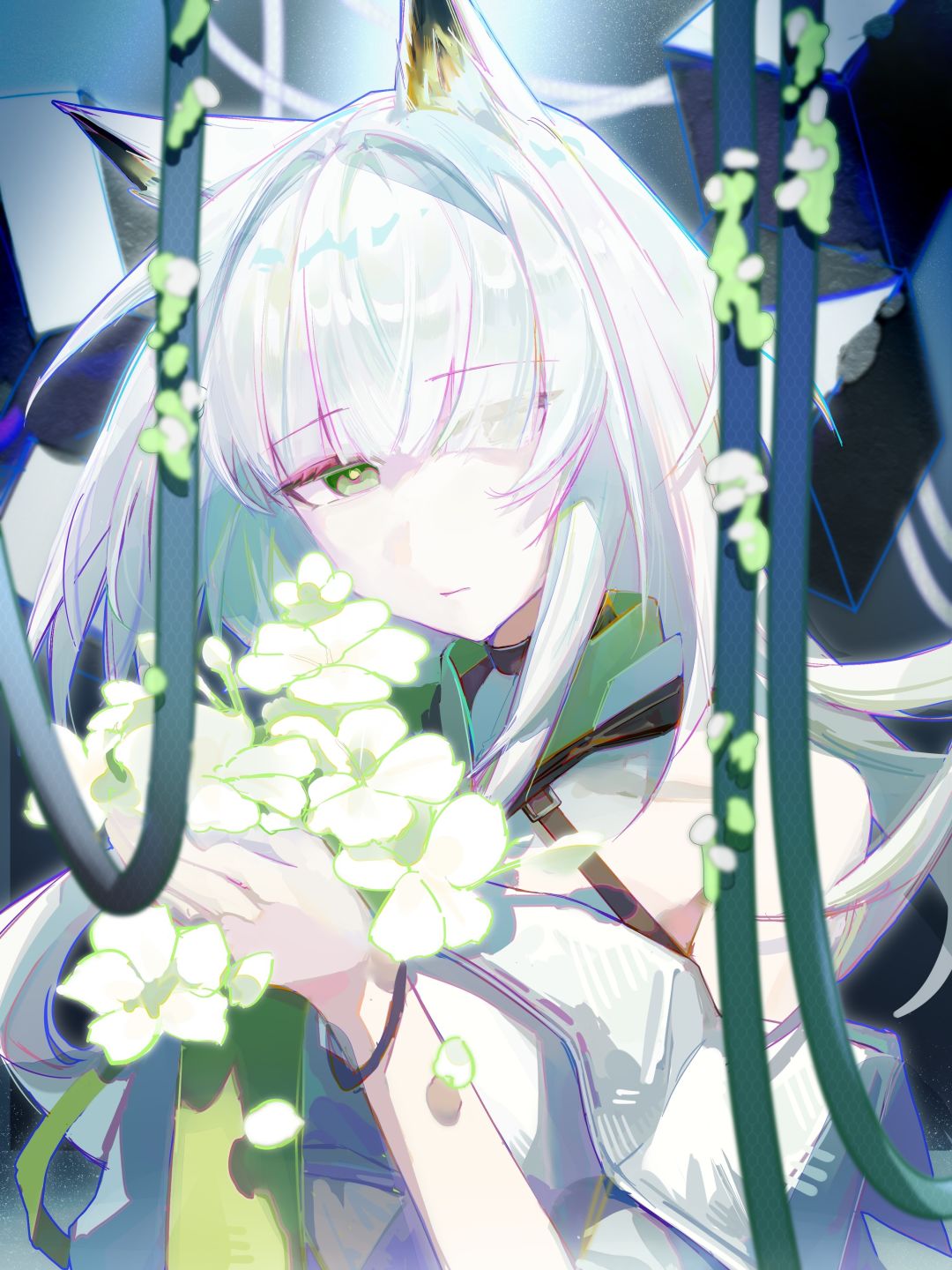 凯尔希 2