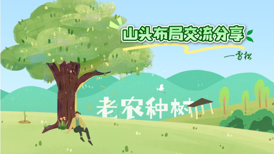 山头布局交流分享——布局篇（二）截图