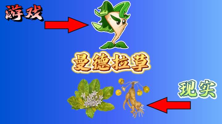 植物大战僵尸:***草原型曝光!截图