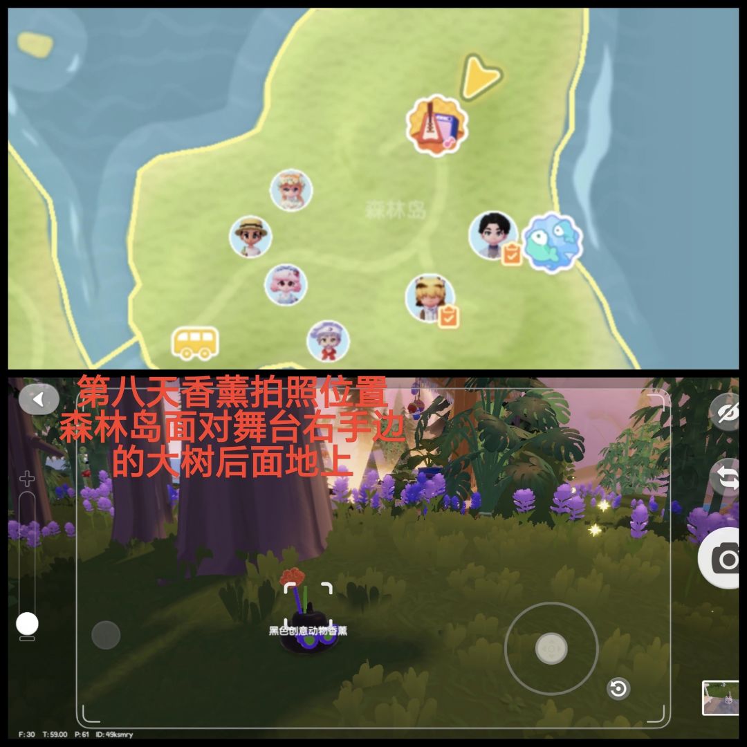 第八天香薰拍照及家具位置及今日兑换码 2