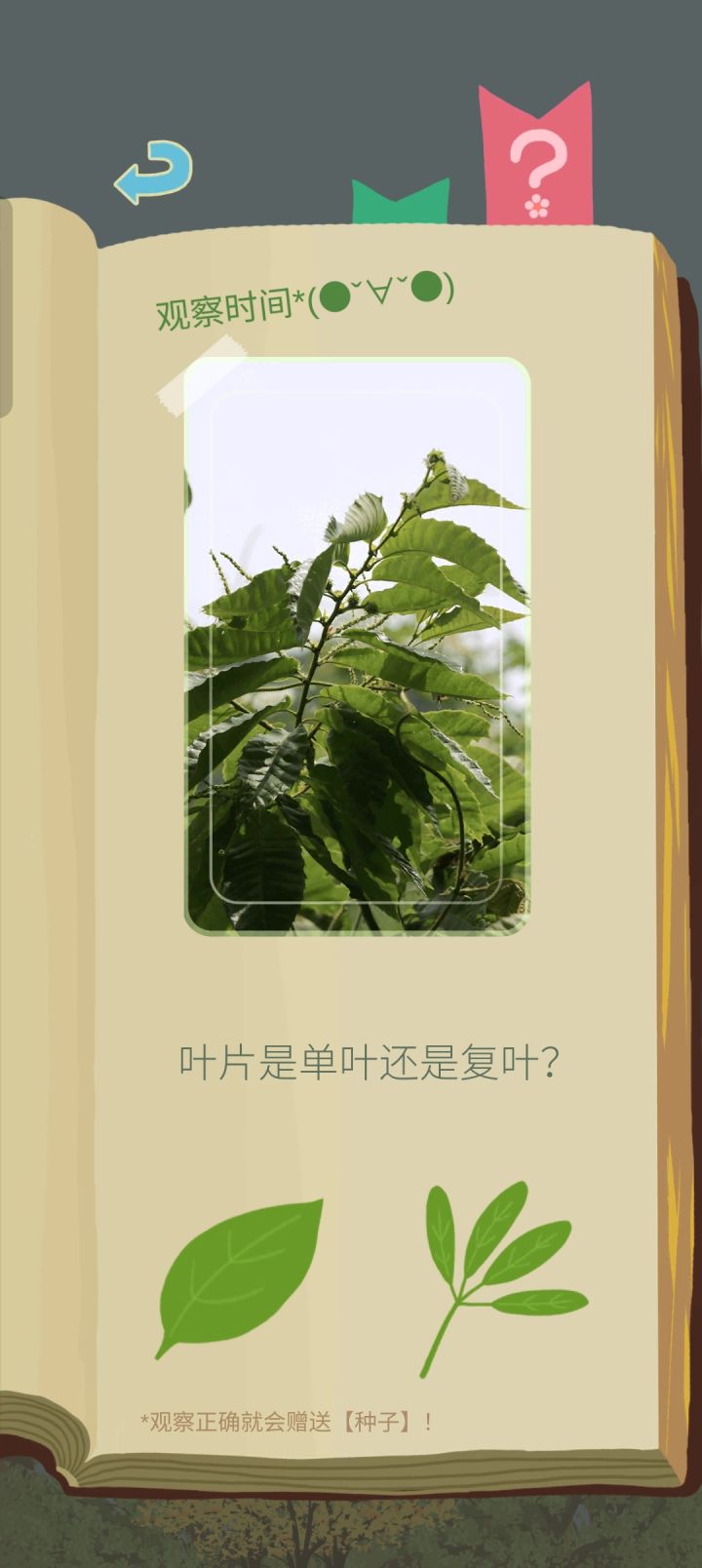 我真不行了截图