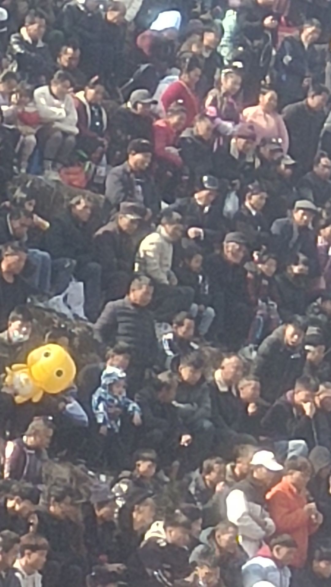动态图片 3