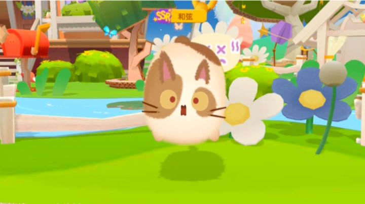 撸猫猫截图