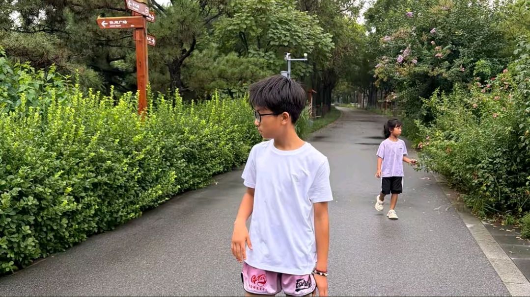 动态图片 12