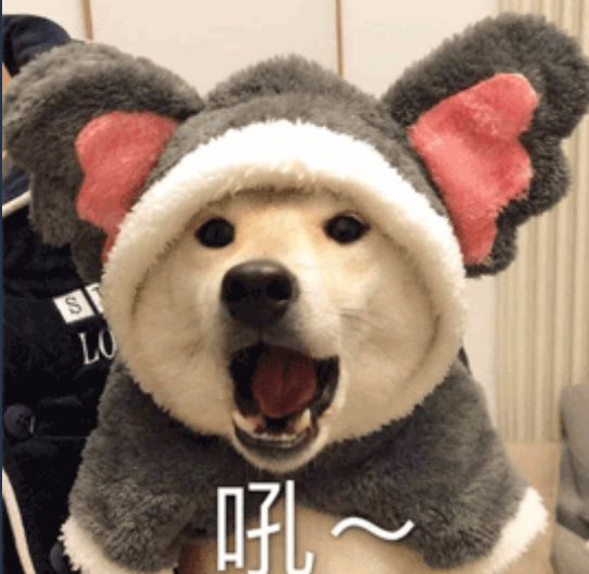 刚才又更新了截图
