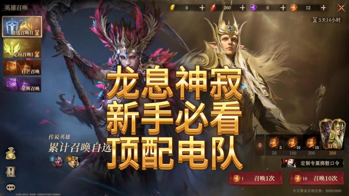 龙息神寂新手必看-组队攻略之电队截图