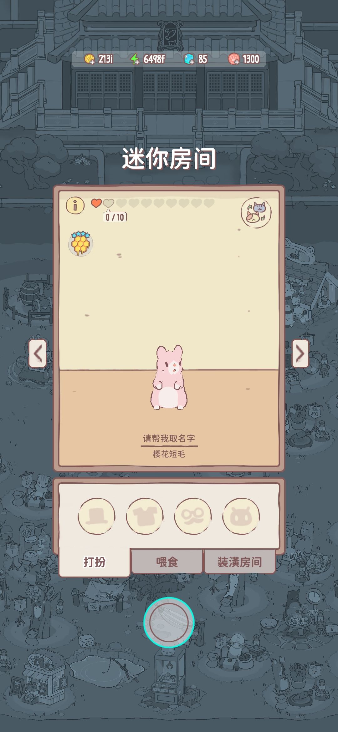 稀有猫猫! 1
