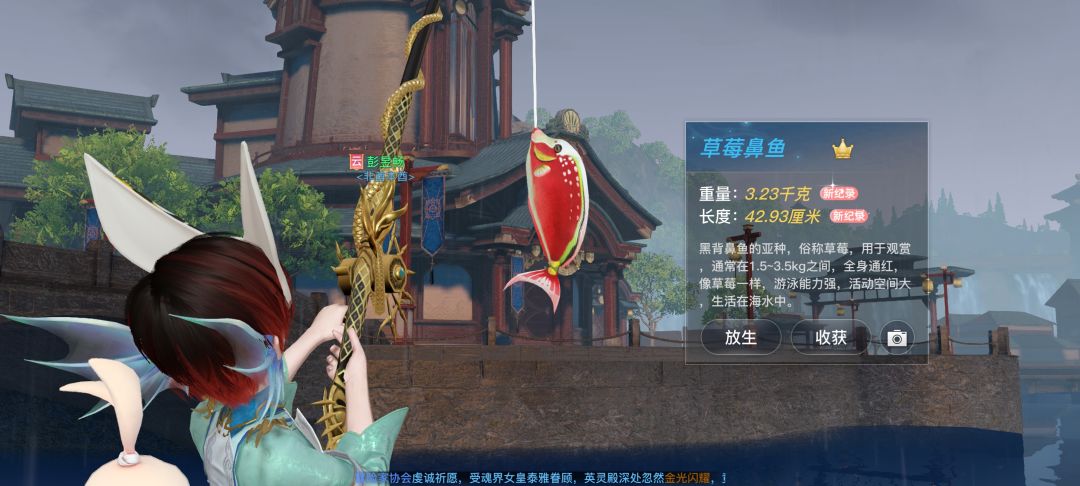 动态图片 7