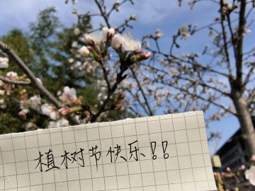 ⚡植树节快闪活动⚡