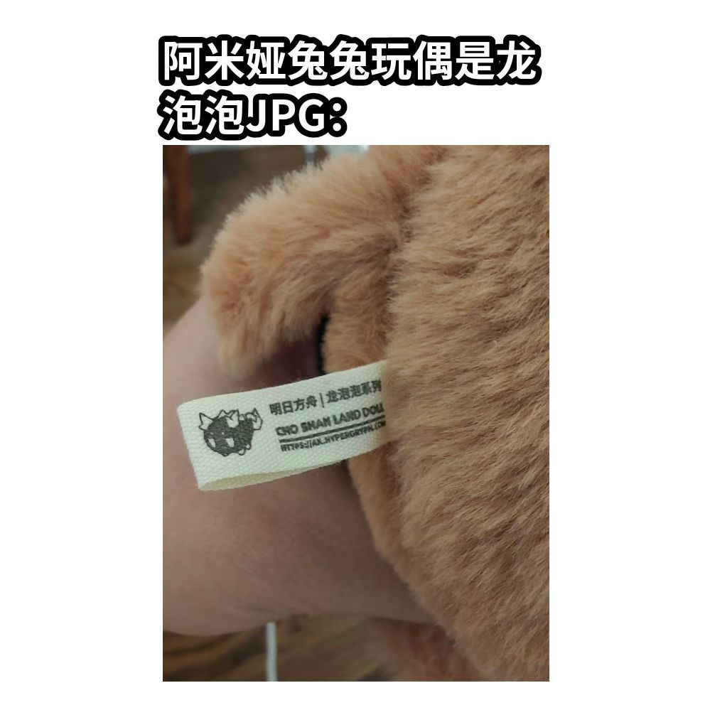 全都是我老婆🤓 12