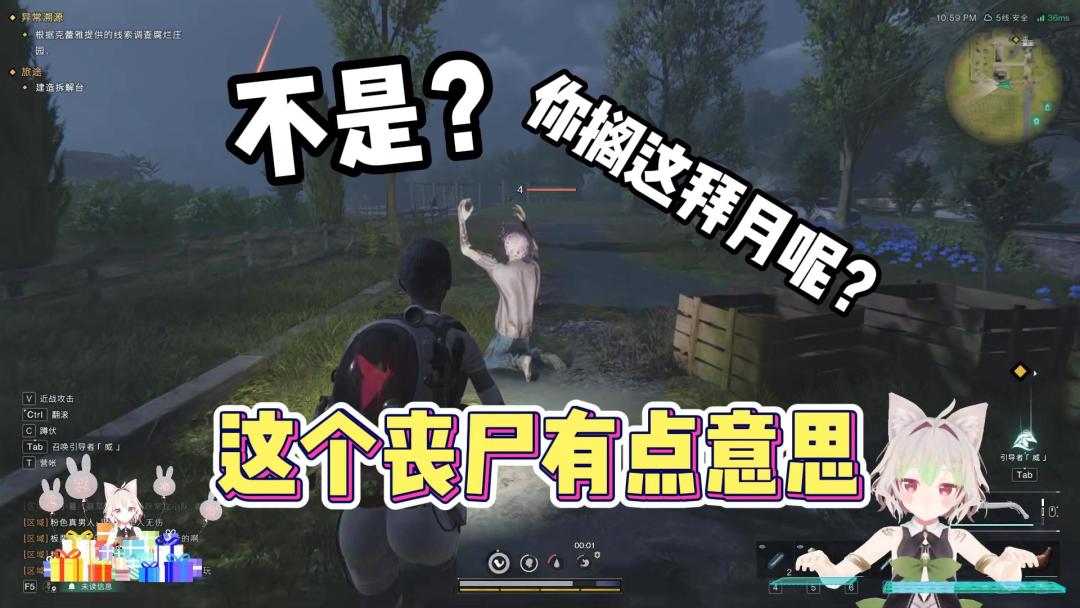 video-3853527