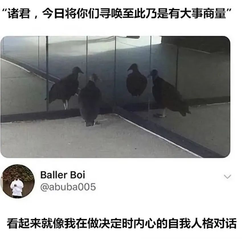 ✨今日份梗图分享第三十二期✨ 2