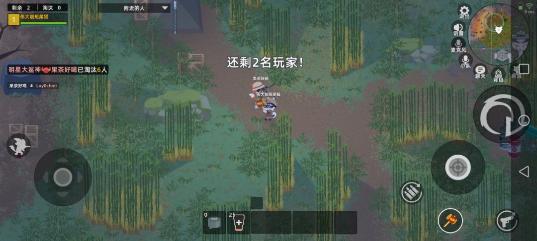 动态图片 6