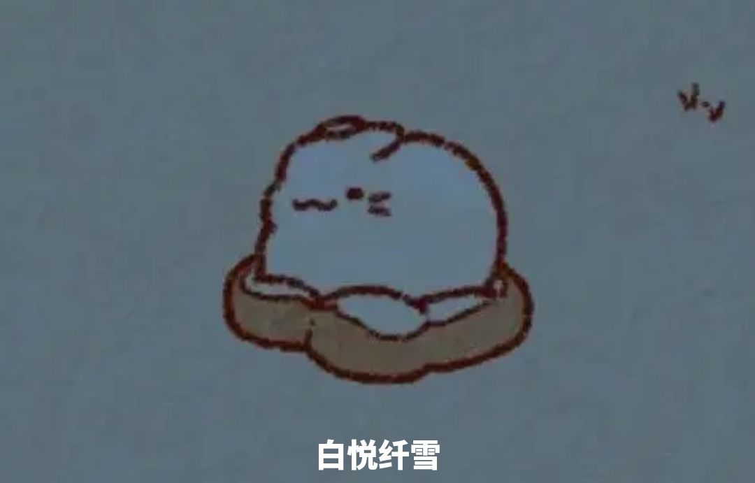 唯有兔兔能慰我心 2