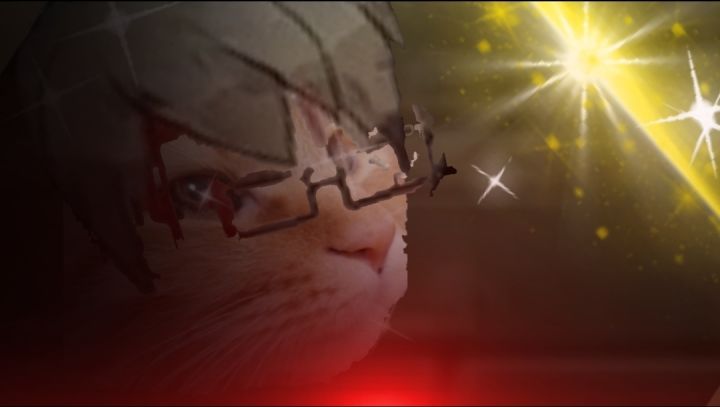 菲利普猫猫截图